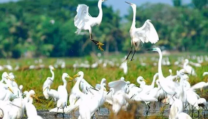 ***  Oceana Hills Residency Hotel Alappuzha India